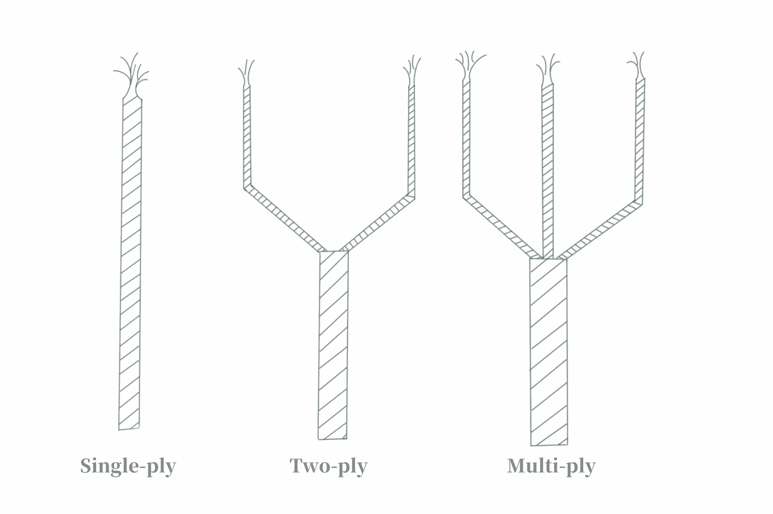 Illustration of Ply Count in Weaving Linens